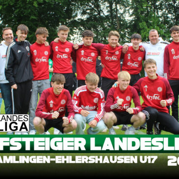 Aufsteiger Landesliga 2025